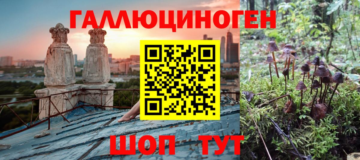 Галлюциногенные грибы мухоморы Шелехов