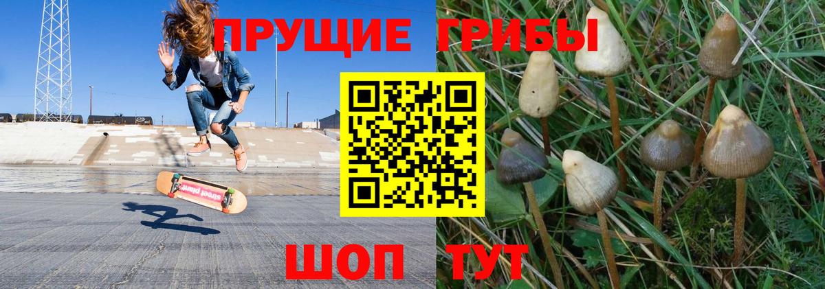 Галлюциногенные грибы GOLDEN TEACHER  Псилоцибиновые грибы MAGIC MUSHROOMS  Шелехов  Вход с VPN 