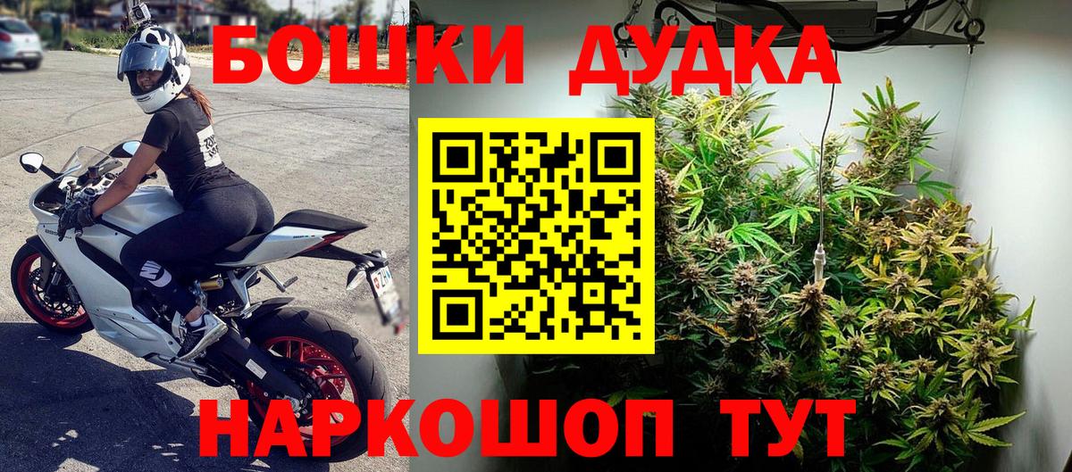 Бошки Шишки семена Шелехов